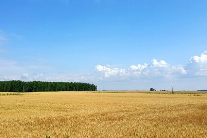 Magia barw na płótnie: Ręcznie malowane pejzaże i ich urok