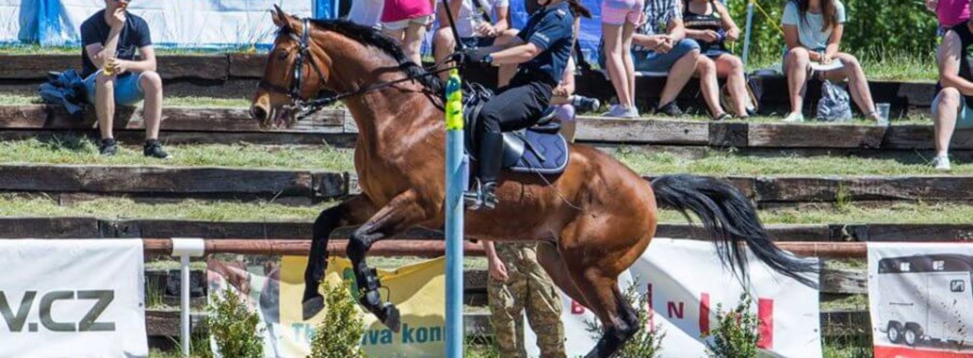 ŁÓDZKA POLICJA KONNA NA MIĘDZYNARODOWYCH ZAWODACH W BRNIE