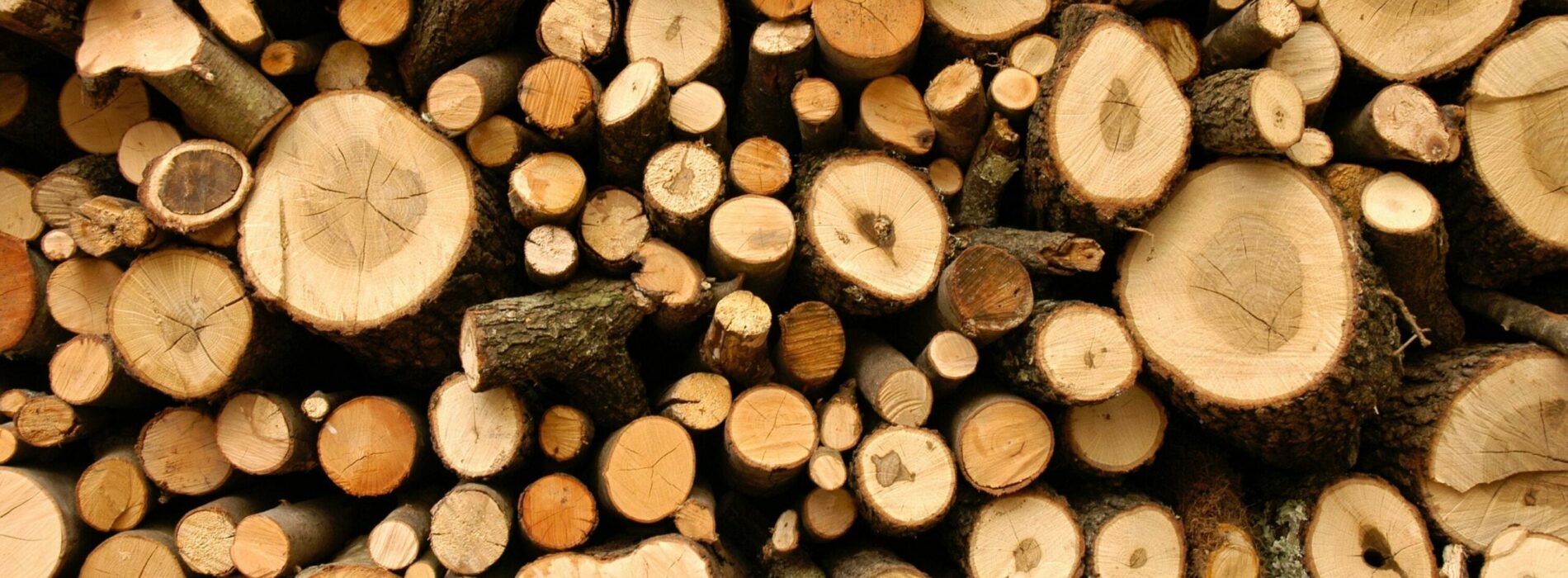 Co należy wiedzieć o rozłupywarce do drewna przed jej zakupem